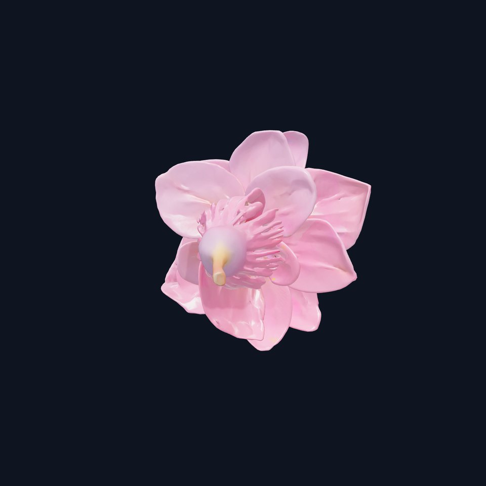 Lonicera Pink Botanical Representation model pack